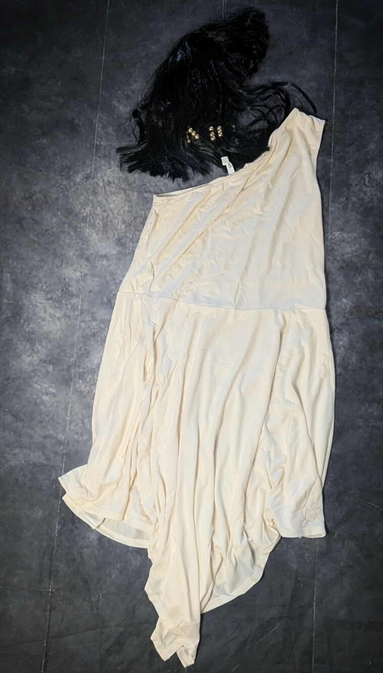 Amscan Egyptian Women's Halloween Costume Dress Adult Plus XXL